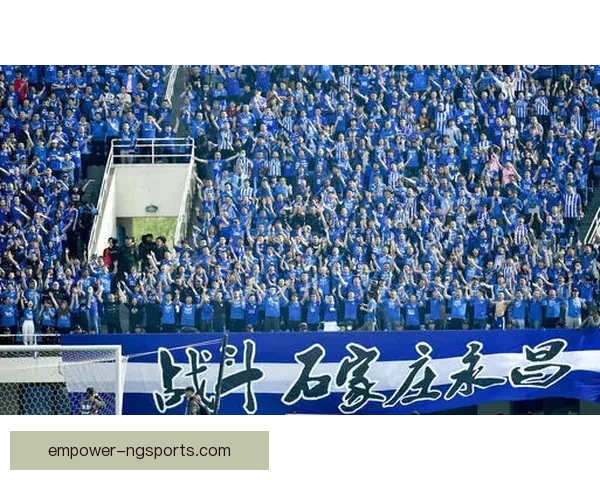 斯图加特俱乐部最新赛季动态与球员转会消息解析